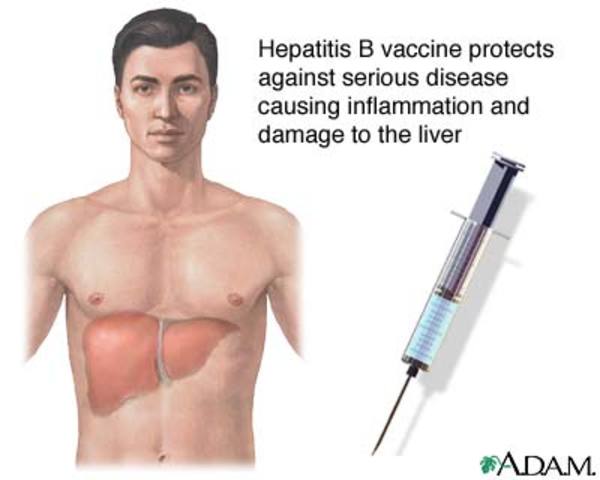 First vaccine developed for hepatitis B