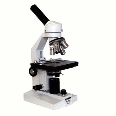 Timeline: The Microscope