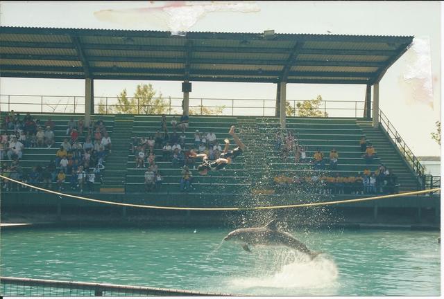 5 Years- Miami Seaquarium- First Picture with Camera taken