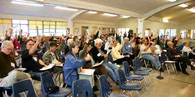 Caucuses and Primaries