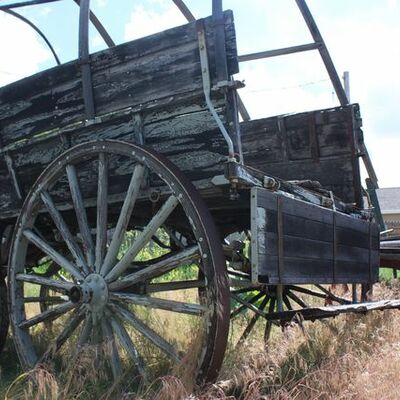 Timeline: How  Thay  Comuntatid How We Comunitat  By Julia