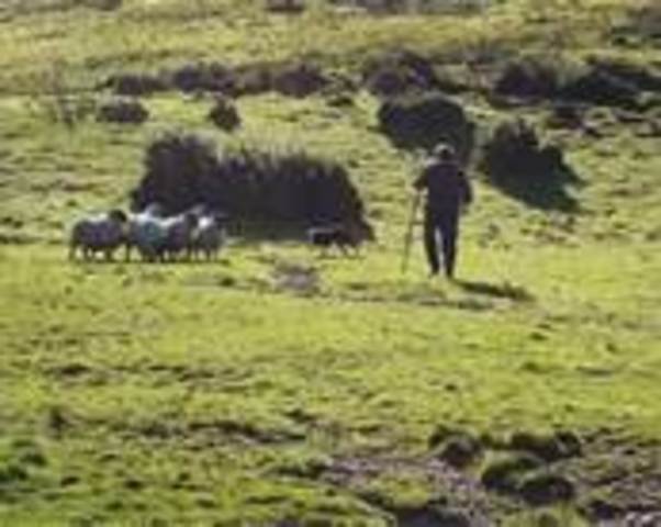 Getting Land in the West