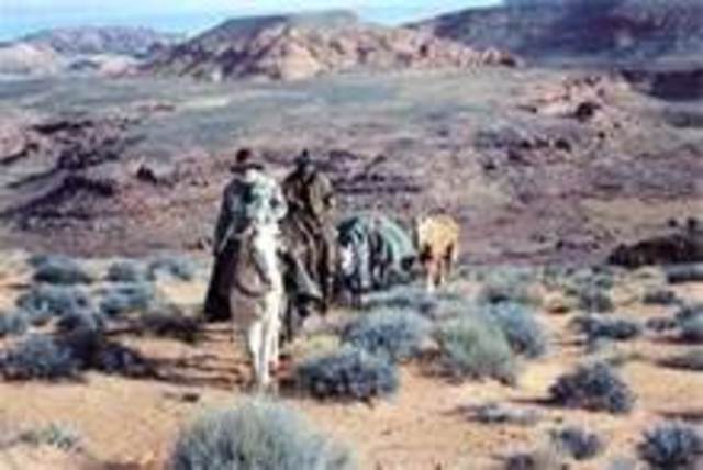 Moving West and Finding a Horse