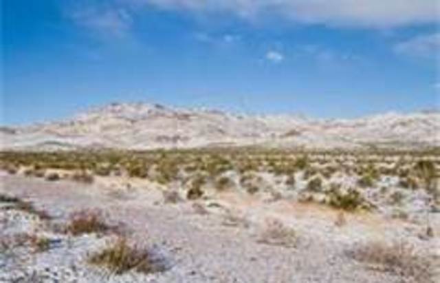 Stocking Up for Winter