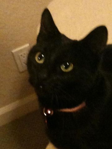 Hailey knose (everything)