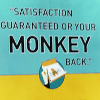 Timeline: Integrative Project