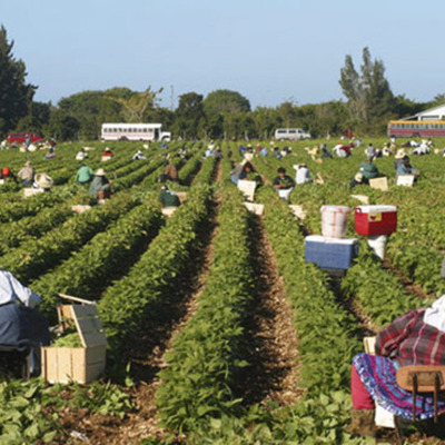 Timeline: Immigrant Timeline