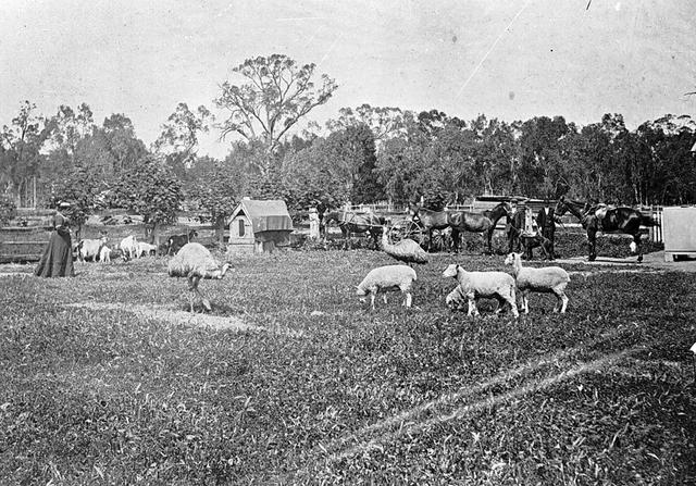 Oklahoma Land-Rush of 1889