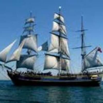 Timeline: Joy Maples Timeline from Ireland