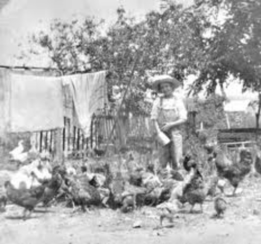 Arrived (trying to find a job)