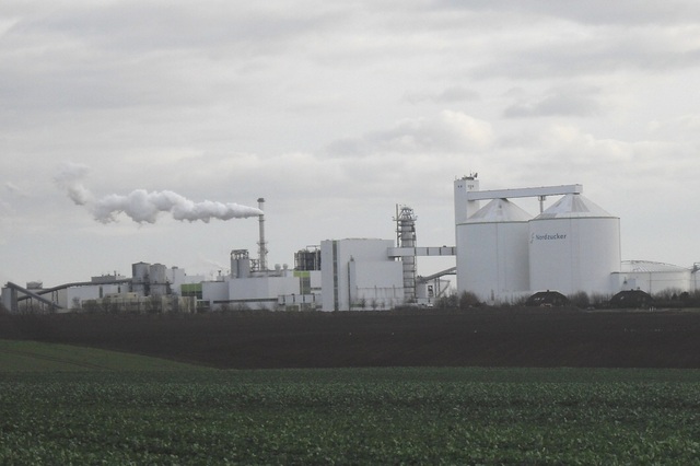 I got a job!... And I'm getting... Married?!?!?