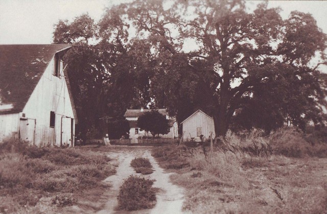 Arrive at Father's Farm