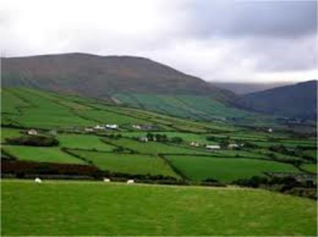 My Decision To Go To America