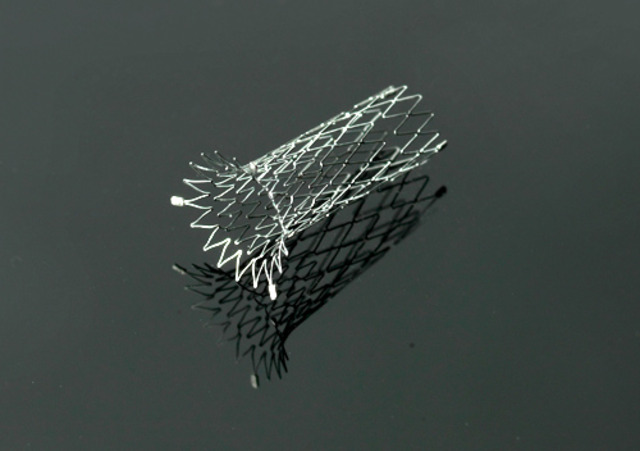 Coronary Stent