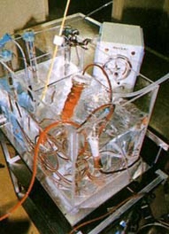 Artificial Liver