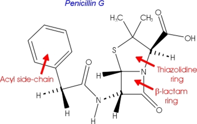 Sir Alexander Fleming discovers penicillin