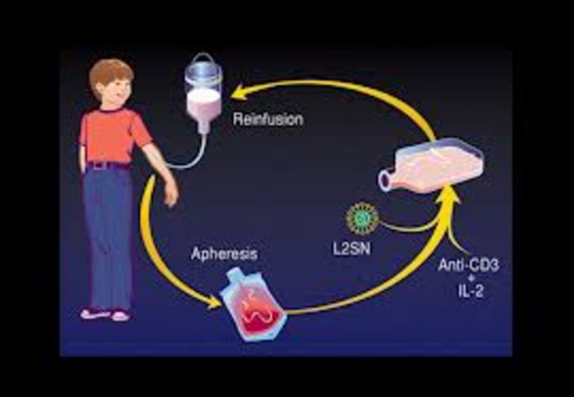 First Gene Therapy Procedure