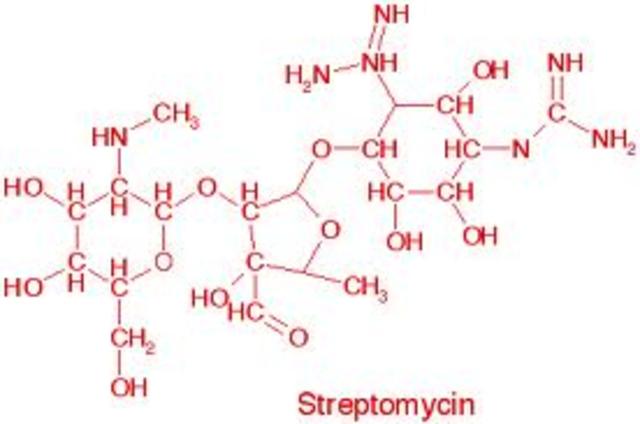 antibiotic streptomycin.