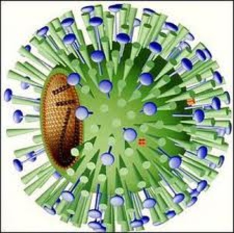 Influenza A virus was first introduced