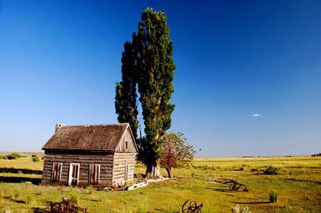 Immigration and Westward Expansion