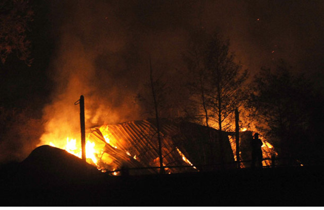 Farm raided and destroyed