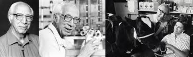 Kidney Dialysis Machine