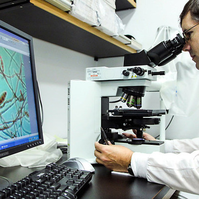 Timeline: Meningitis Outbreak Timeline