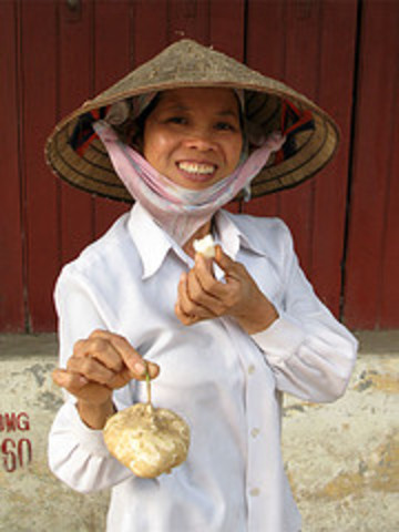 Vietnam Independence