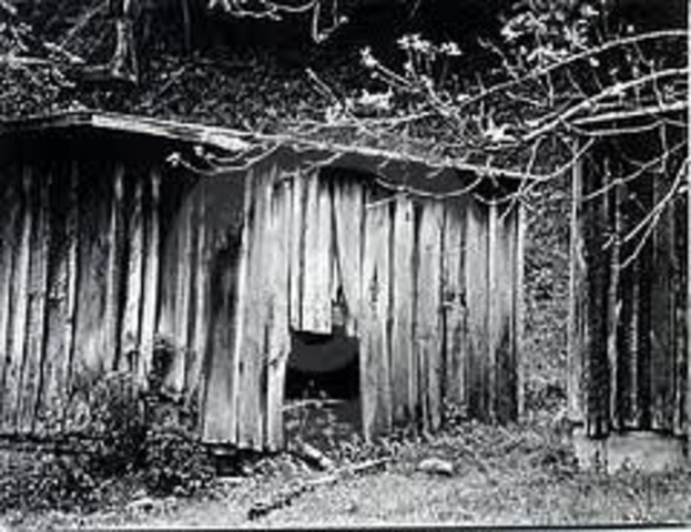 Living in an Abandoned Shack