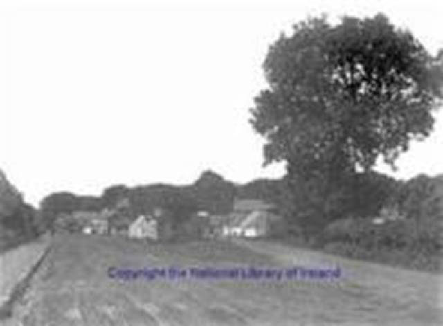 Pushed out of Ireland