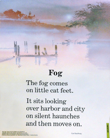 the fog