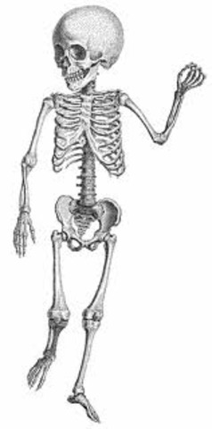 she wrote "skin and bones"