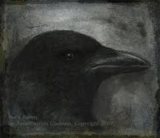 Poe's actual career started