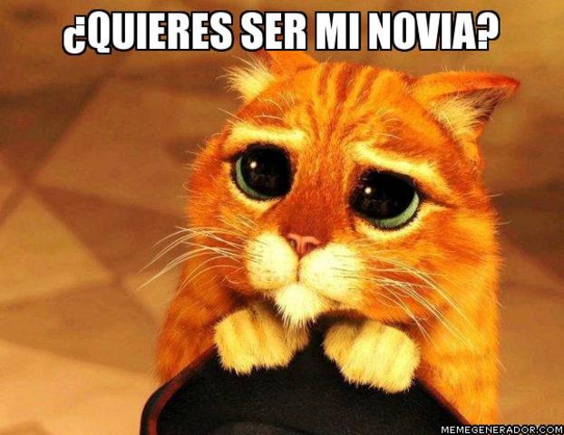 Quieres ser mi novia?