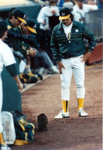 Decisional: Entrepreneur