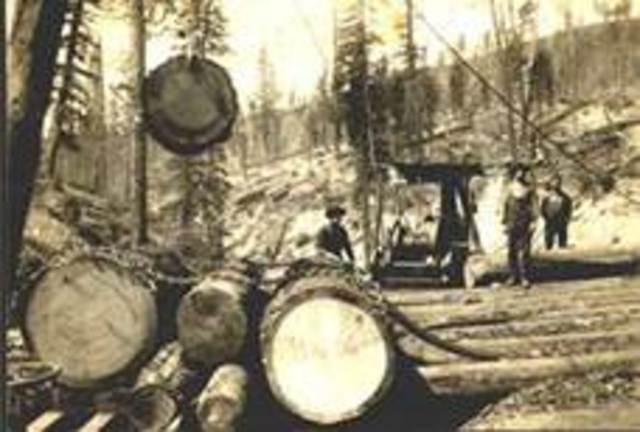 Logging the Sierra Nevada