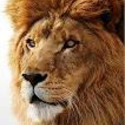 Timeline: tag   Robert FRost