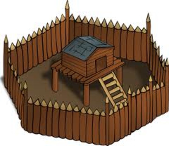 Fort necessity