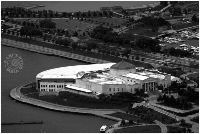 Shedd Aquarium