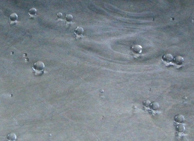 Henri Milne-Edwards made the observation that the basic structure of all animal tissues were "globules."