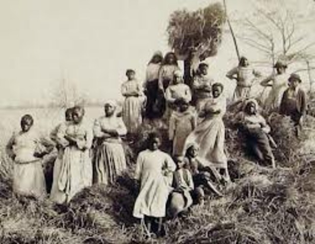20,000 enslaved Africans were living in South Carolina