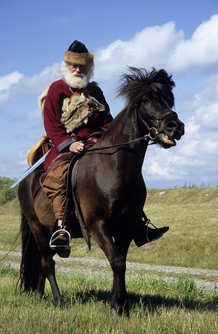 Landet Sverige finns inte. Hövdingar styr i olika delar av landet