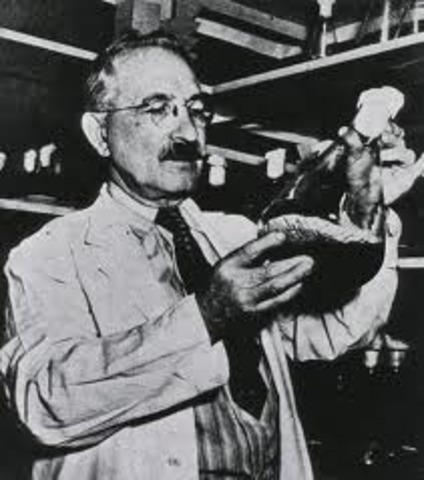 First Antibiotic Streptomycin