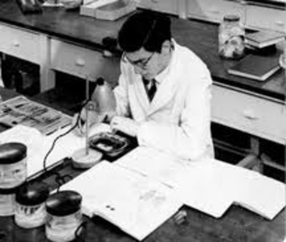 First Meningitis Vaccine