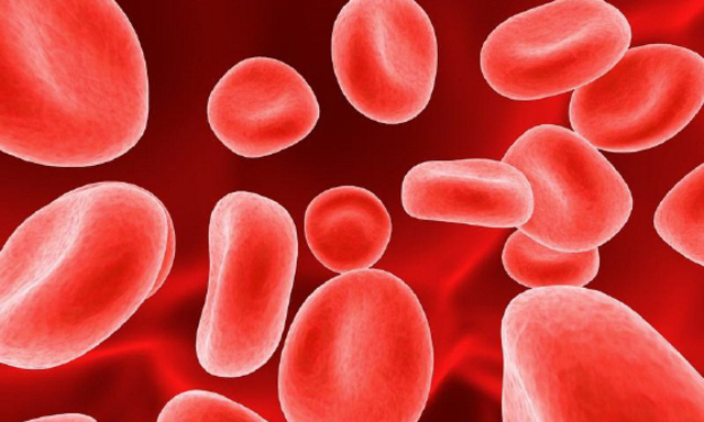 Bacterea Sperm/Blood cells and more were discovered