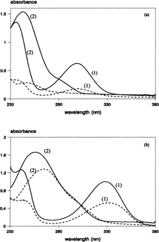 Homogeneous optical path