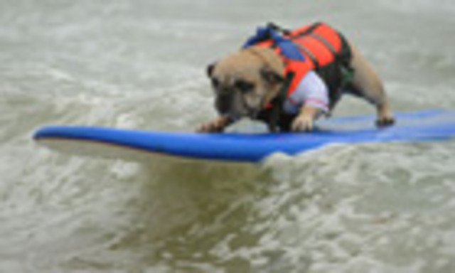 I was born in wordsley next to my friend!!!!!!!!!!!!!!!!!!!!!!!!!!!!!!!!!!!!!!!