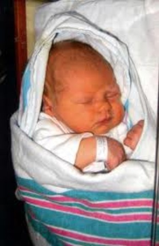 Born in los angeles california