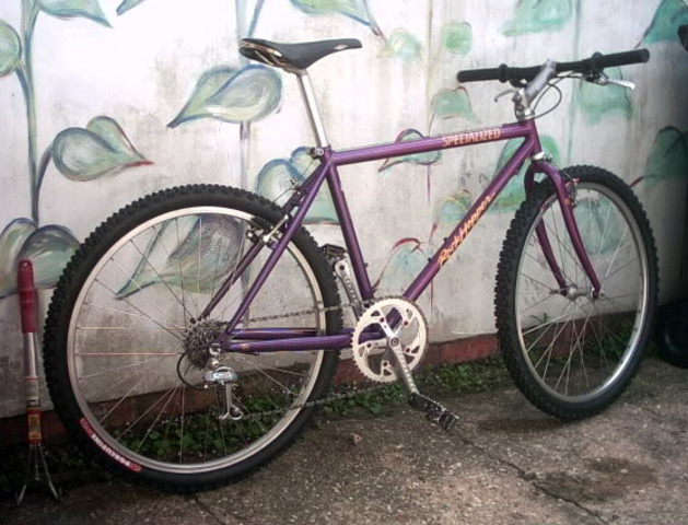 Specialized Rockhopper Polo