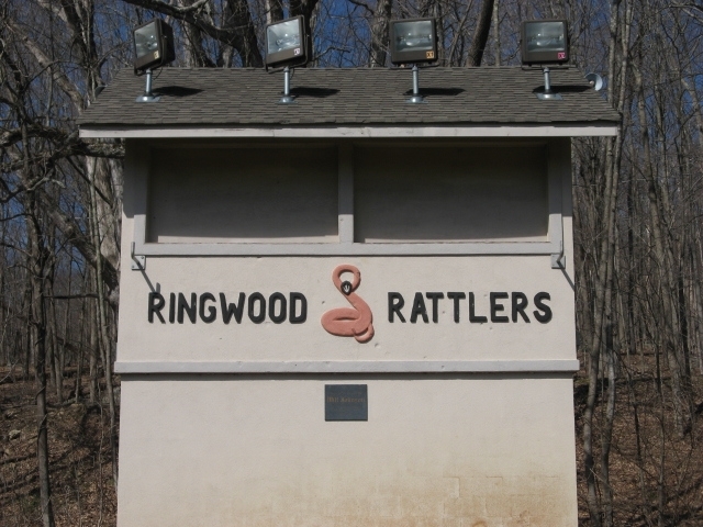 first time in the superbowl